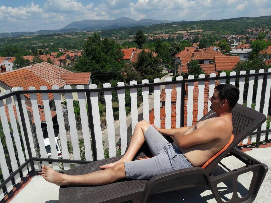 Vila Lenka Sokobanja Bagian luar foto