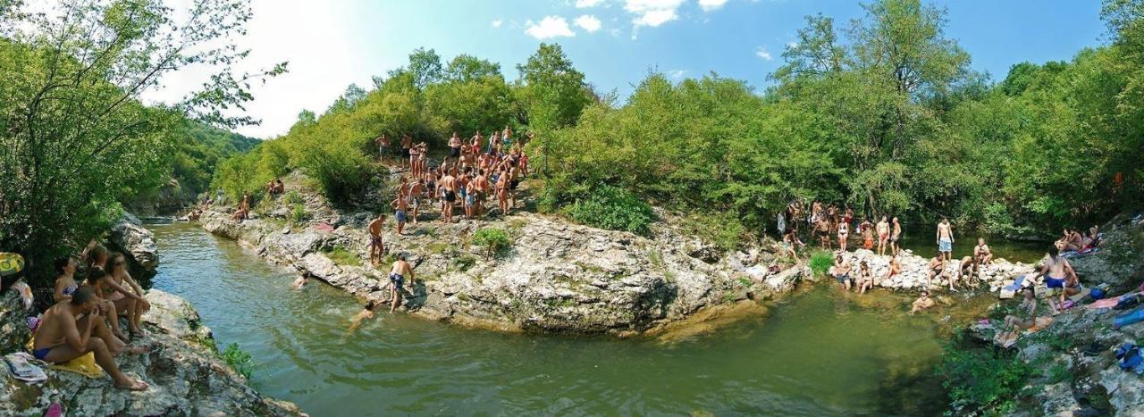 Vila Lenka Sokobanja Bagian luar foto