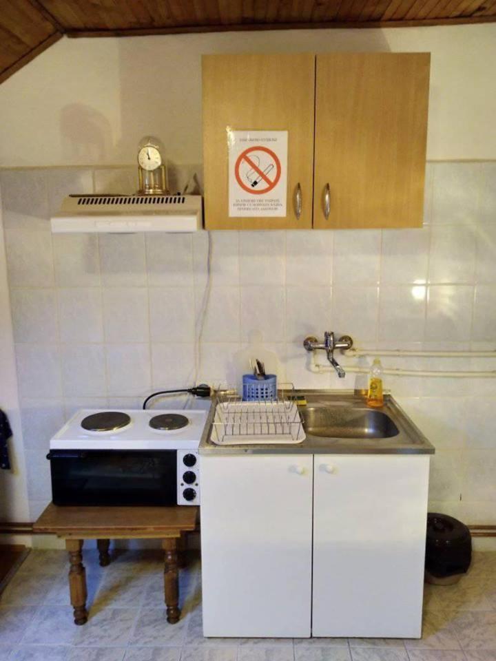 Vila Lenka Sokobanja Bagian luar foto